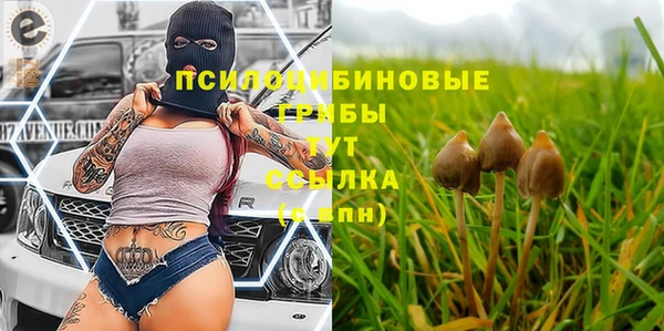 эйфоретик Алексеевка