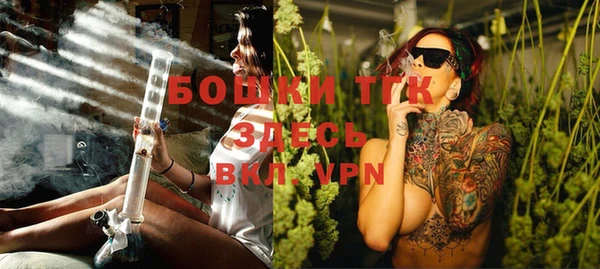 PSILOCYBIN Алзамай