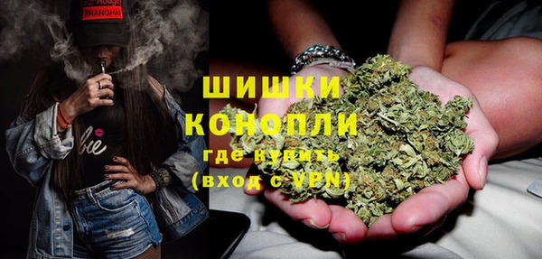 PSILOCYBIN Алзамай