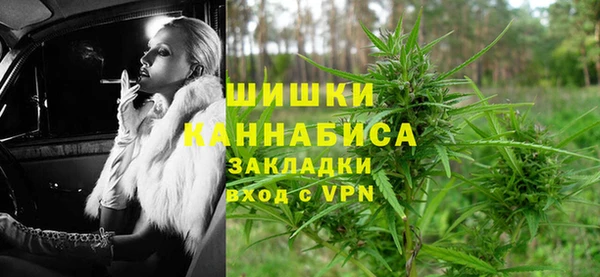 PSILOCYBIN Алзамай