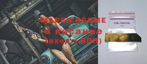 дмт Богданович
