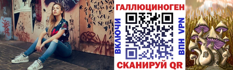 Псилоцибиновые грибы Magic Shrooms  купить   Борзя 
